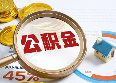 固原2025年政策调整对个人影响综合解析